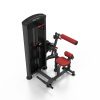 Marbo Sport Rückenstrecker Bauch Kombimaschine
