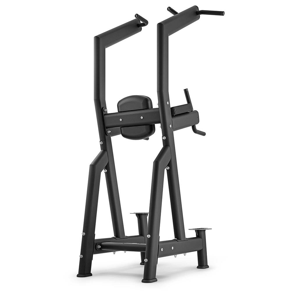 Klimmzug und Dipstation