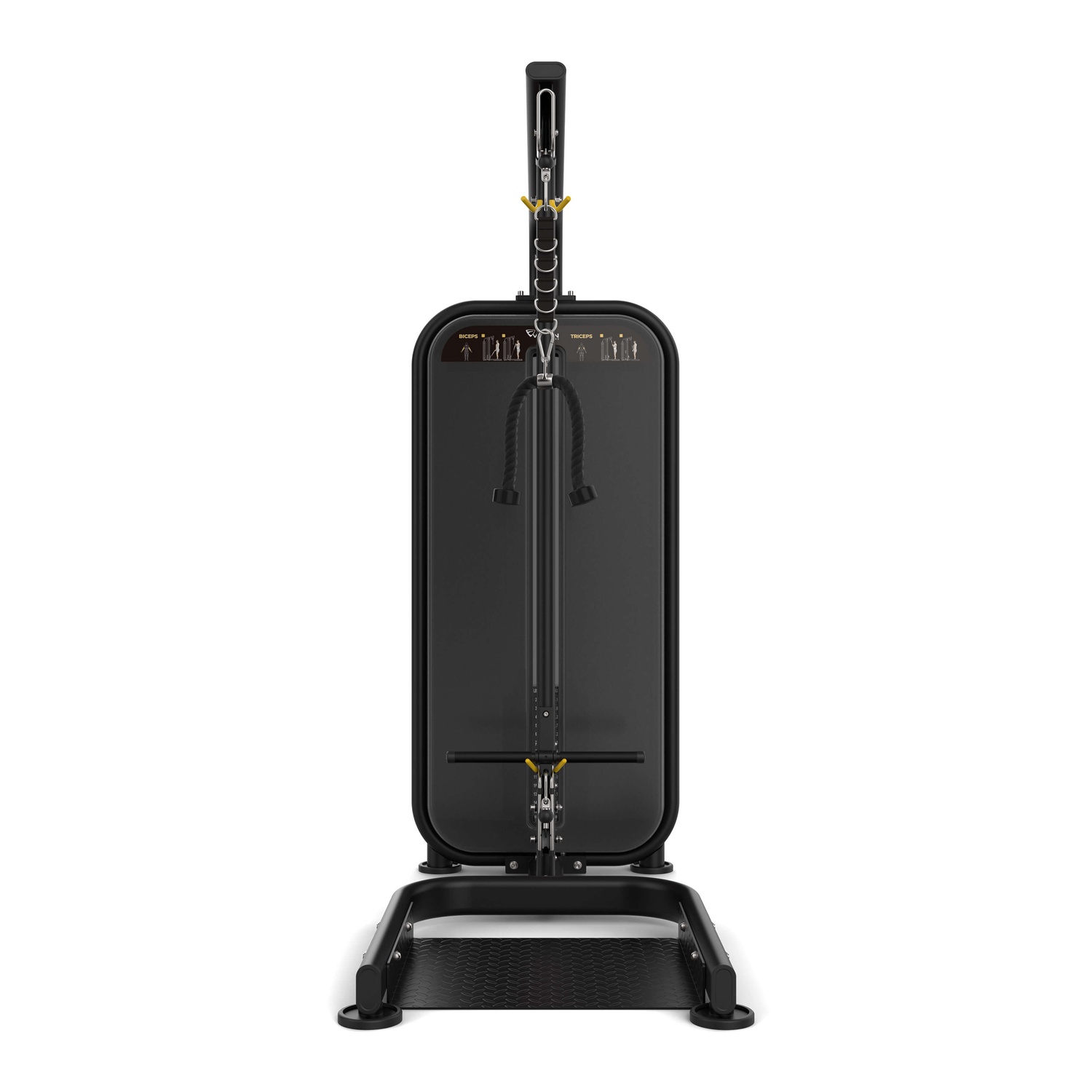 Vision Fitness - Bizeps/Trizeps