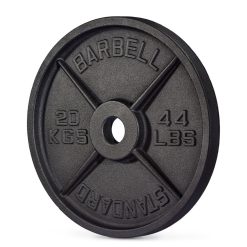 Guss Hantelscheiben Standard