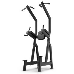 Klimmzug und Dipstation