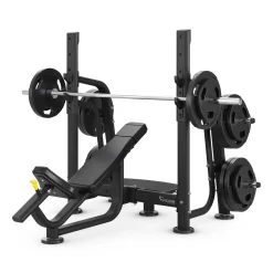 Vision Fitness - Olympic Incline Press