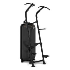 Vision Fitness - Chin-Dip Assist