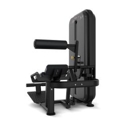 Vision Fitness - Rückenstrecker/Bauchmaschine
